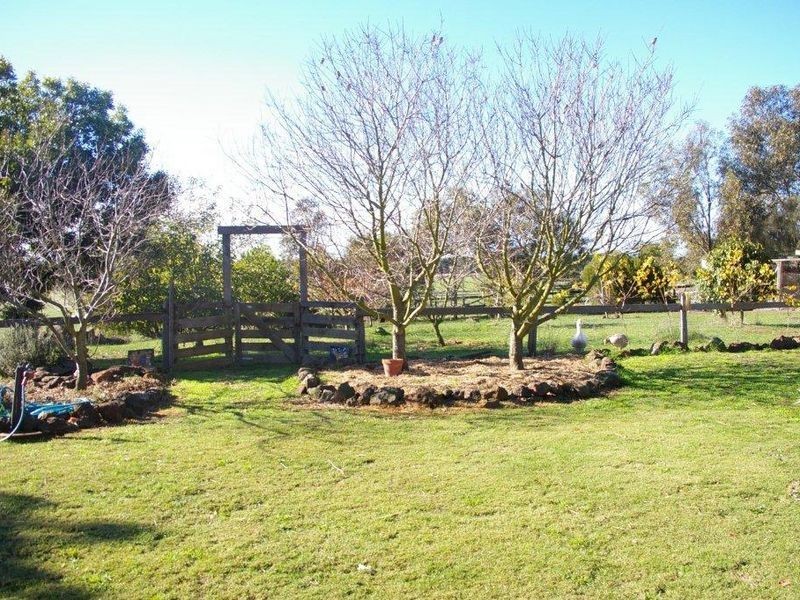 320 Wainewrights Lane, Winchelsea VIC 3241