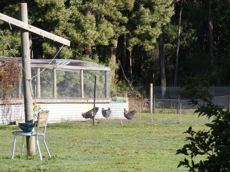 30 Aroona Court, Forrest VIC 3236