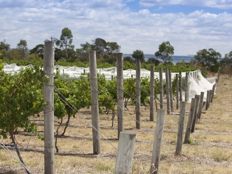 65 Baynes Road, Colac VIC 3250