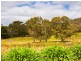 2 Yaugher Road, Forrest VIC 3236