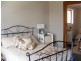 58 Wilson Street, Colac VIC 3250