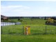 23 Tulloh Street, Elliminyt VIC 3250