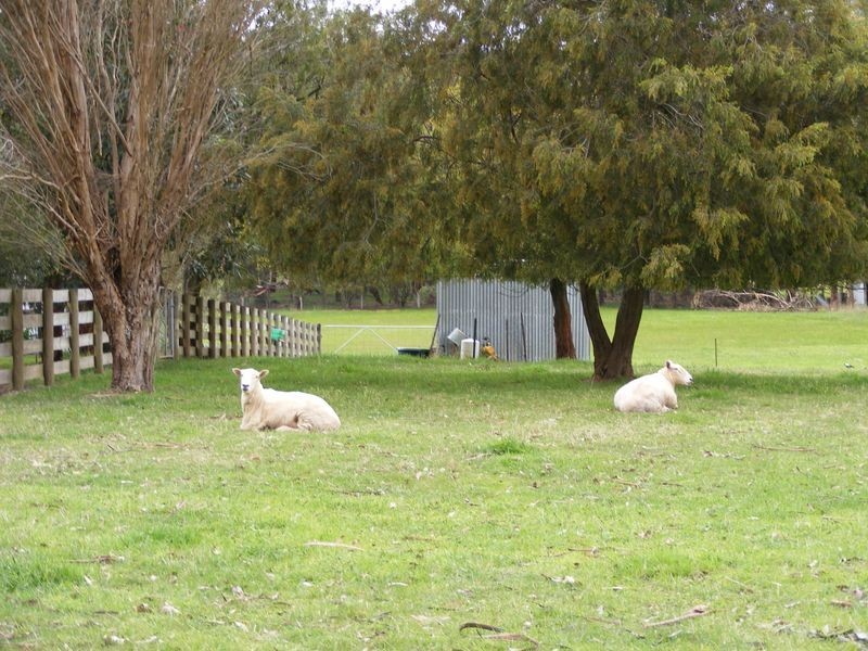 390 Shorts Road, Barongarook VIC 3249