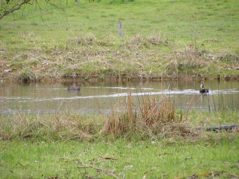 390 Shorts Road, Barongarook VIC 3249