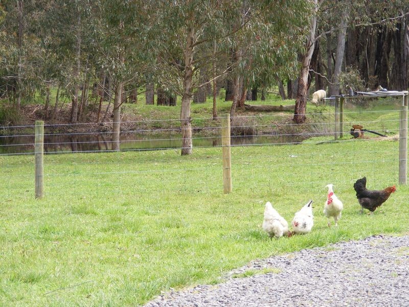 1640 Forrest Road, Barwon Downs VIC 3243