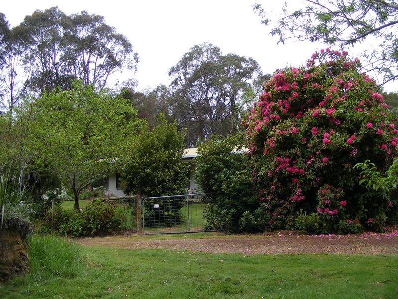 105 Gellibrand East Road, Gellibrand VIC 3239