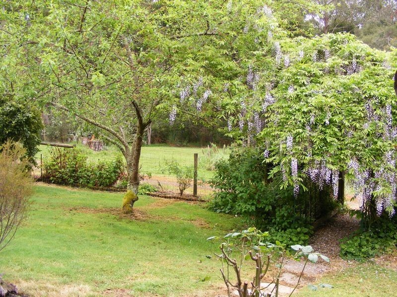 105 Gellibrand East Road, Gellibrand VIC 3239