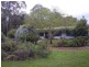 105 Gellibrand East Road, Gellibrand VIC 3239
