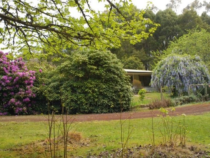 105 Gellibrand East Road, Gellibrand VIC 3239