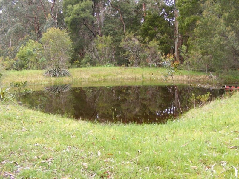105 Gellibrand East Road, Gellibrand VIC 3239