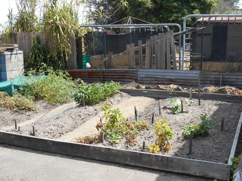 46 Rae Street, Colac VIC 3250