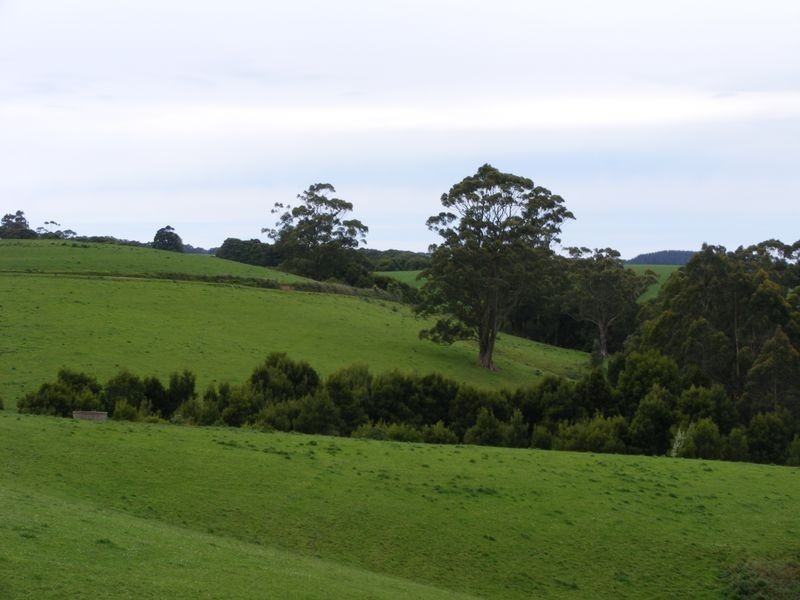 5225 Colac Lavers Hill Road, Lavers Hill VIC 3238