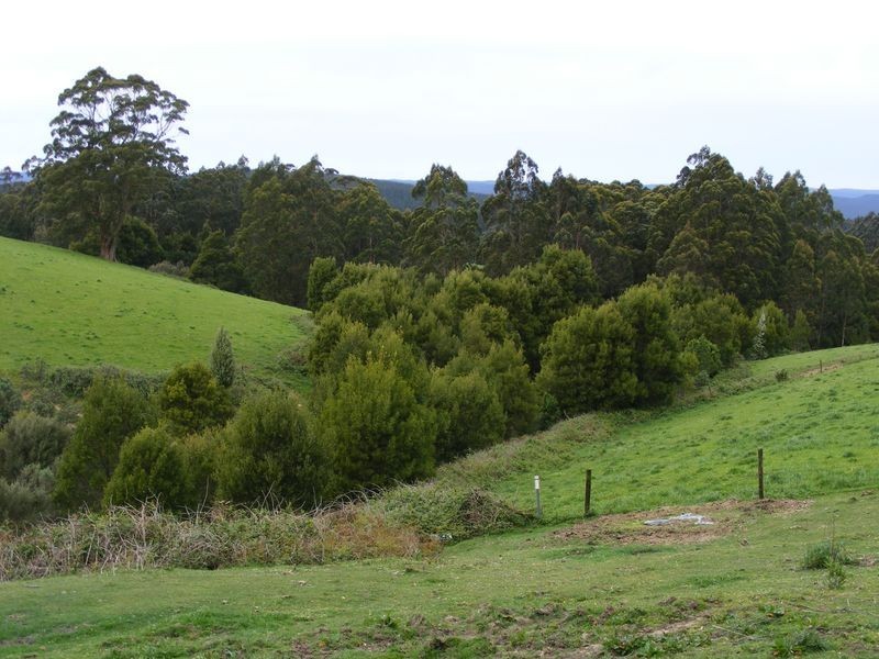 5225 Colac Lavers Hill Road, Lavers Hill VIC 3238