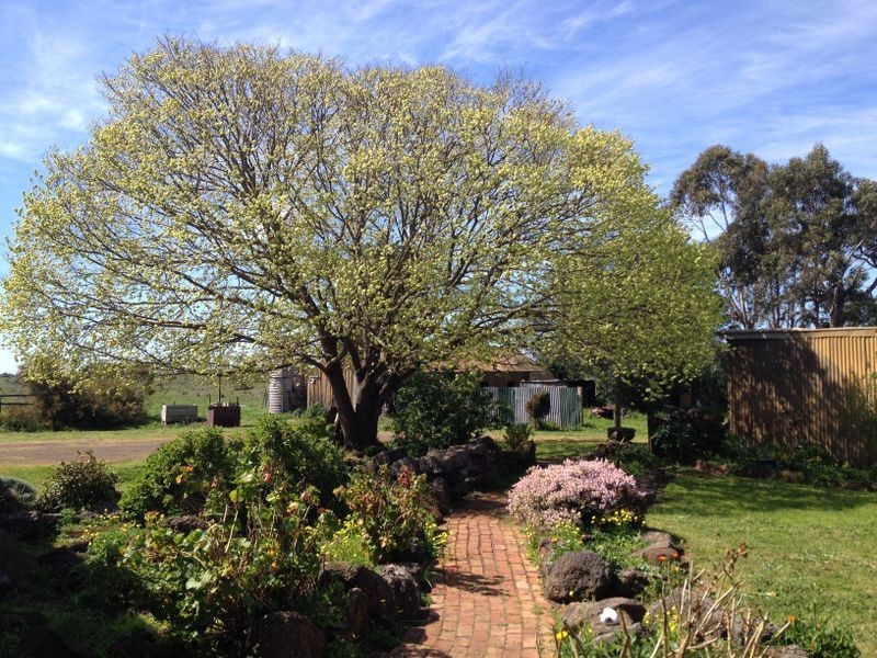 220 Graham & McDonald Road, Alvie VIC 3249