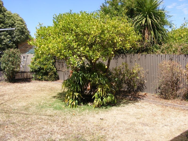 4 Thompson Street, Colac VIC 3250