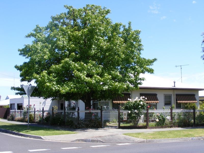 188 Hearn Street, Colac VIC 3250