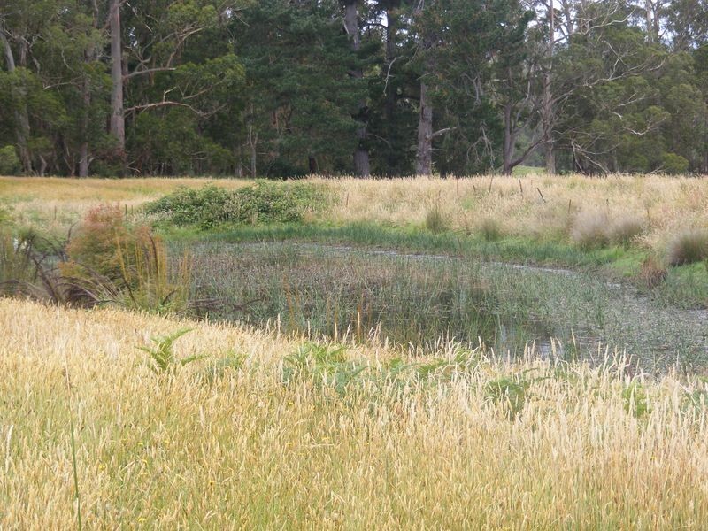 1435 Colac Lavers Hill Road, Kawarren VIC 3249