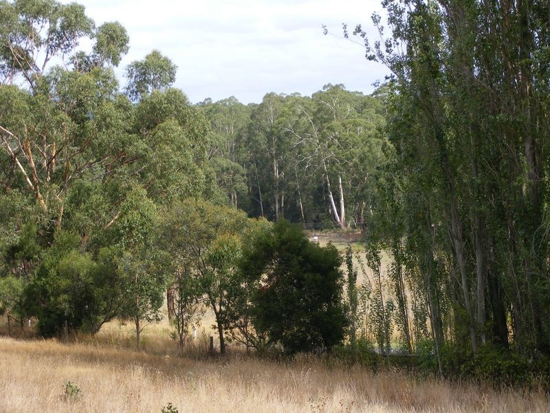 1435 Colac Lavers Hill Road, Kawarren VIC 3249