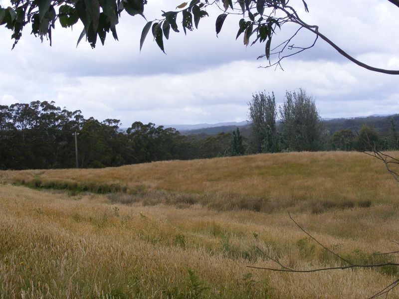 1435 Colac Lavers Hill Road, Kawarren VIC 3249