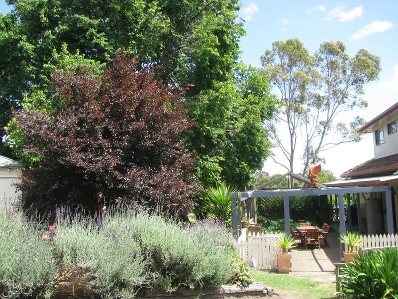 38 Murrell Street, Birregurra VIC 3242