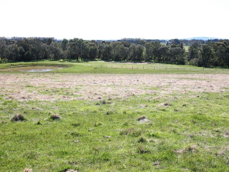 38 Murrell Street, Birregurra VIC 3242