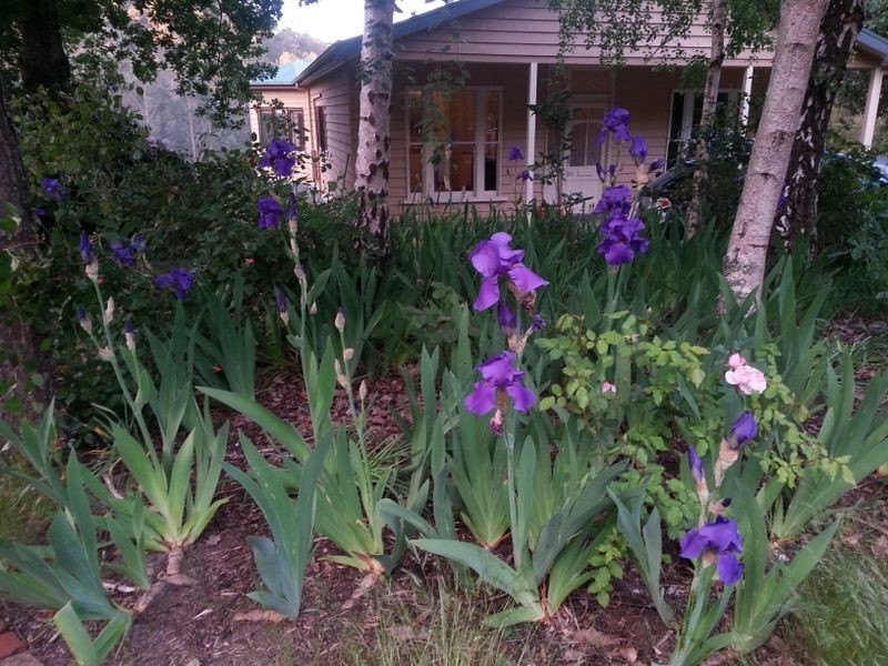 175 Gellibrand East Road, Gellibrand VIC 3239