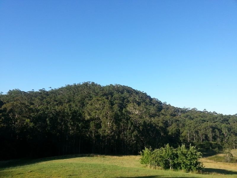 175 Gellibrand East Road, Gellibrand VIC 3239