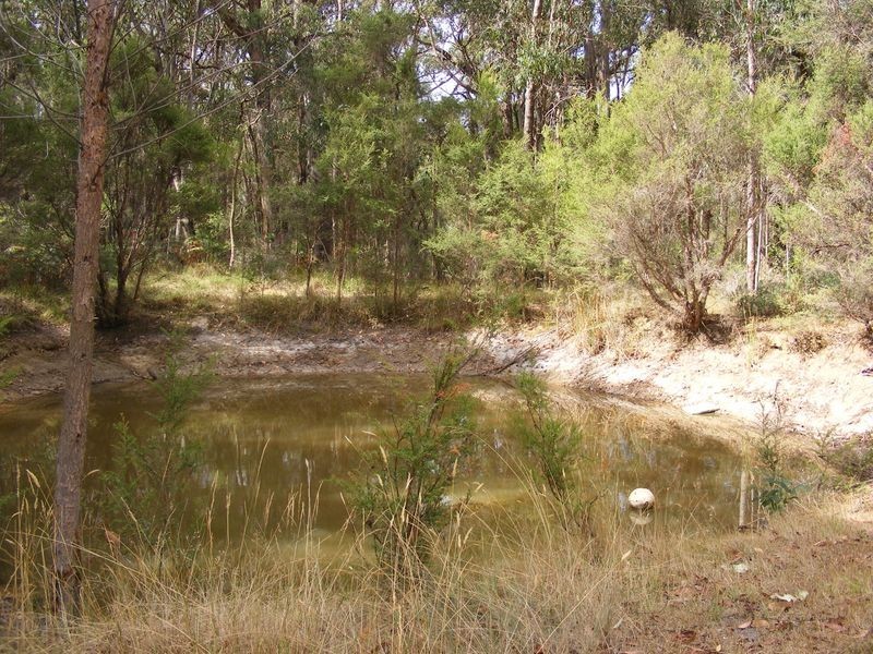 1175 Colac Lavers Hill Road, Kawarren VIC 3249