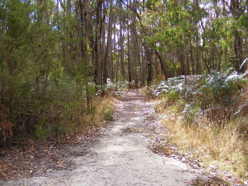 1175 Colac Lavers Hill Road, Kawarren VIC 3249