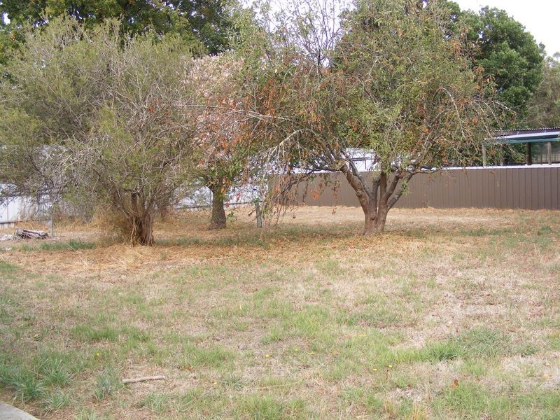 97 Main Street, Birregurra VIC 3242