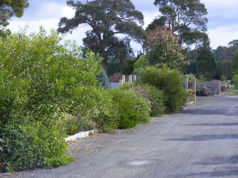 Lot 2A 16 Main Road, Gellibrand VIC 3239