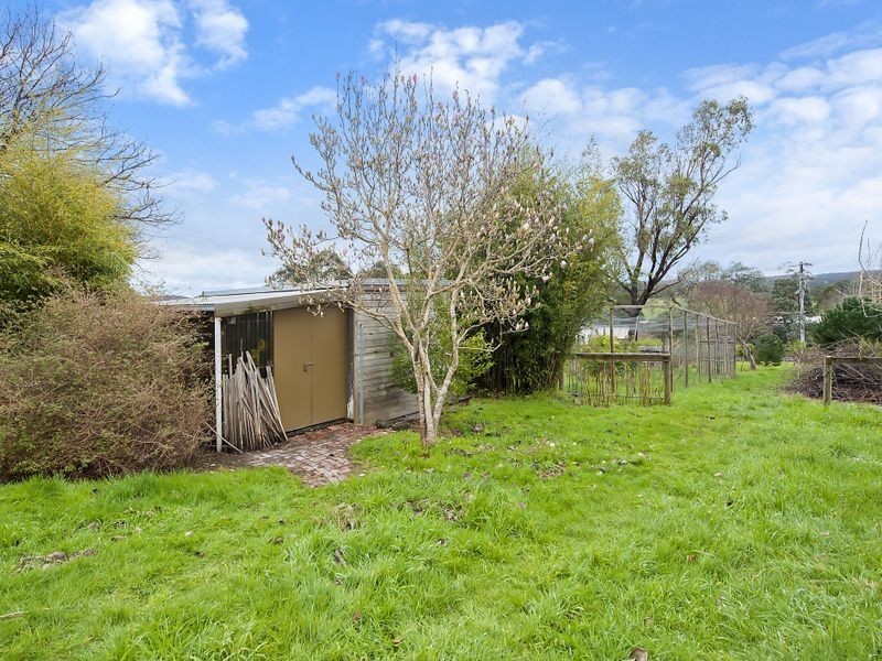 33 Barwon Street, Forrest VIC 3236