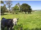 80 Farrells Road, Warrion VIC 3249