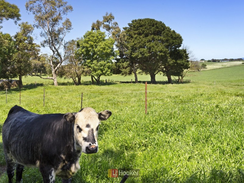 80 Farrells Road, Warrion VIC 3249