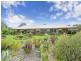 50 McDonnells Road, Birregurra VIC 3242