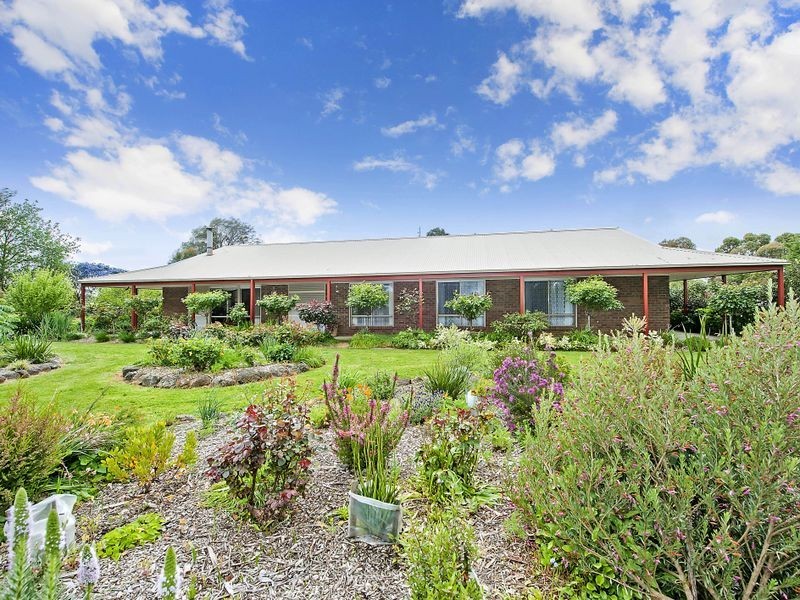 50 McDonnells Road, Birregurra VIC 3242