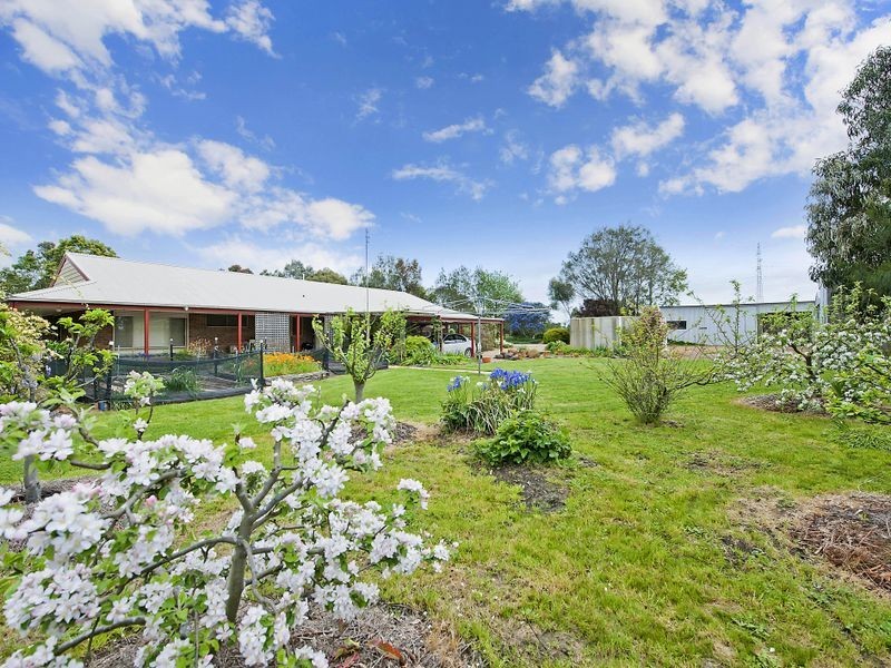 50 McDonnells Road, Birregurra VIC 3242