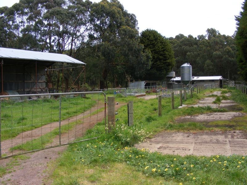 282 Timboon Colac Road, Jancourt East VIC 3266