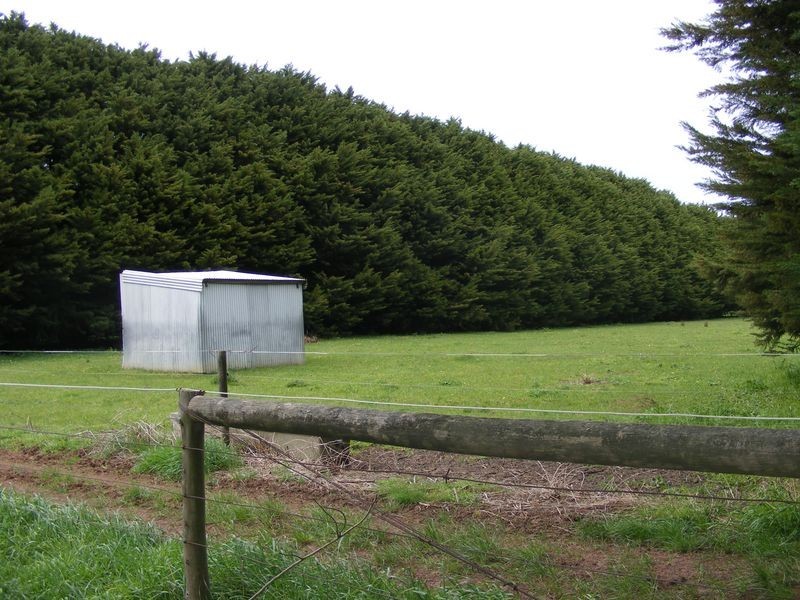282 Timboon Colac Road, Jancourt East VIC 3266