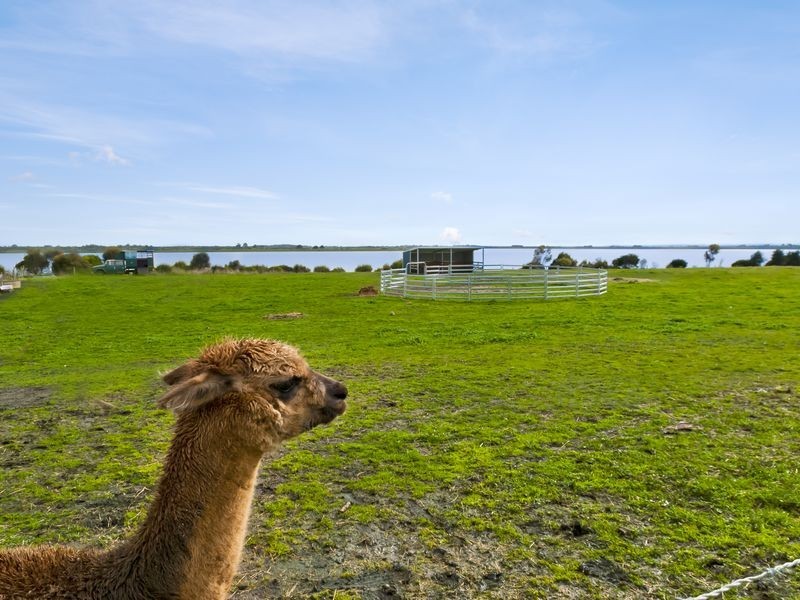 35B Beeac Cemetery Road, Beeac VIC 3251