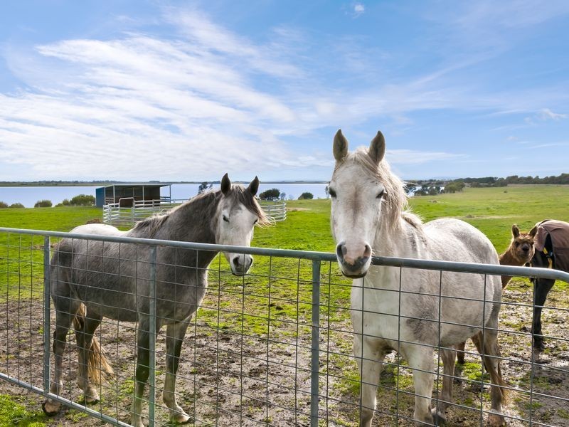 35B Beeac Cemetery Road, Beeac VIC 3251