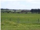 5985 Princes Highway, Irrewarra VIC 3249