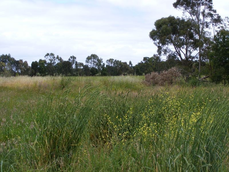 419 Princes Highway, Colac VIC 3250