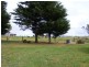 4580 Princes Highway, Birregurra VIC 3242