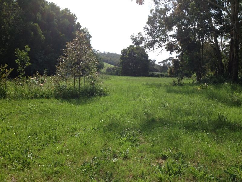 95 Old Beech Forest Road, Gellibrand VIC 3239