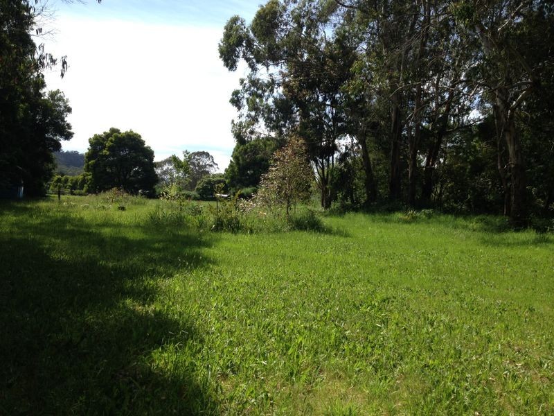 95 Old Beech Forest Road, Gellibrand VIC 3239