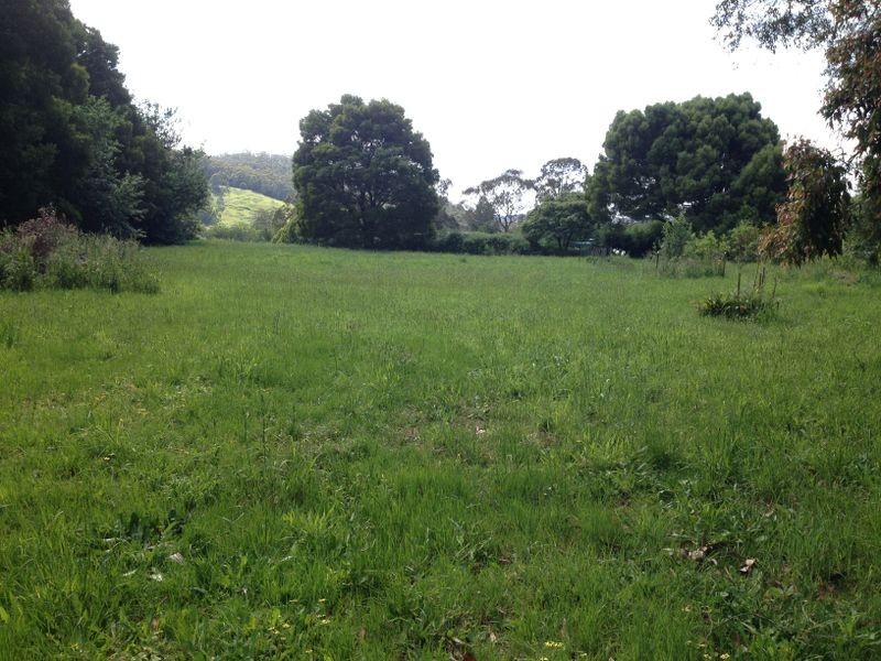 95 Old Beech Forest Road, Gellibrand VIC 3239