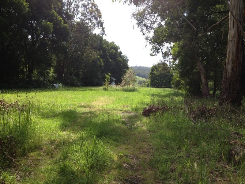 95 Old Beech Forest Road, Gellibrand VIC 3239