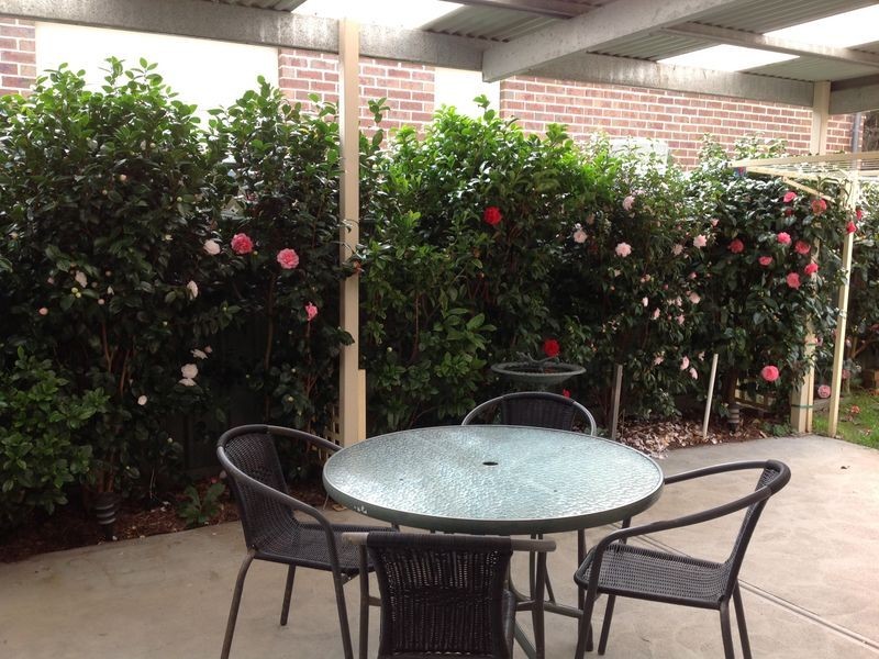 169 Armstrong Street, Colac VIC 3250