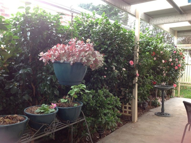 169 Armstrong Street, Colac VIC 3250